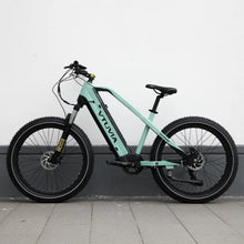 Load image into Gallery viewer, eBike - Gemini 26 Inch Fat Tire Electric Bike
